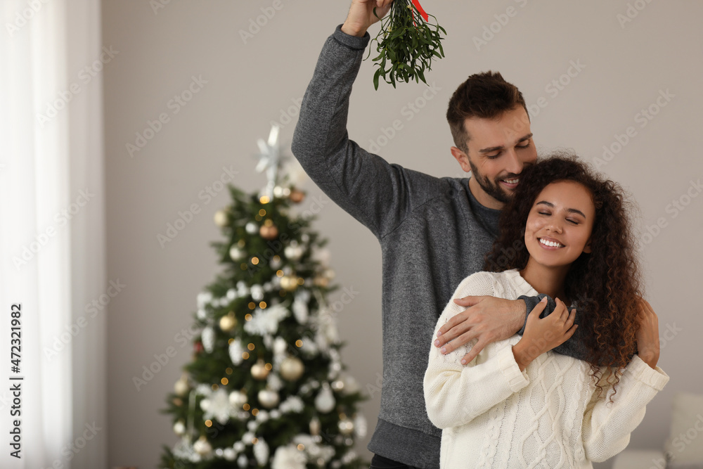 Portrait of lovely couple under mistletoe bunch in room decorated for Christmas Portrait of lovely couple under mistletoe bunch in room decorated for Christmas