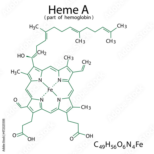 Heme A chemical formula. Organic compound. Part of hemoglobin. Molecular structure. Vector illustration. Stock image. 