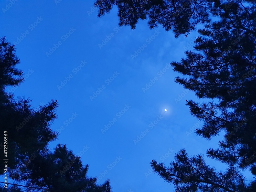 Starlight on a day that turns into night
Starlight on a day that turns into night