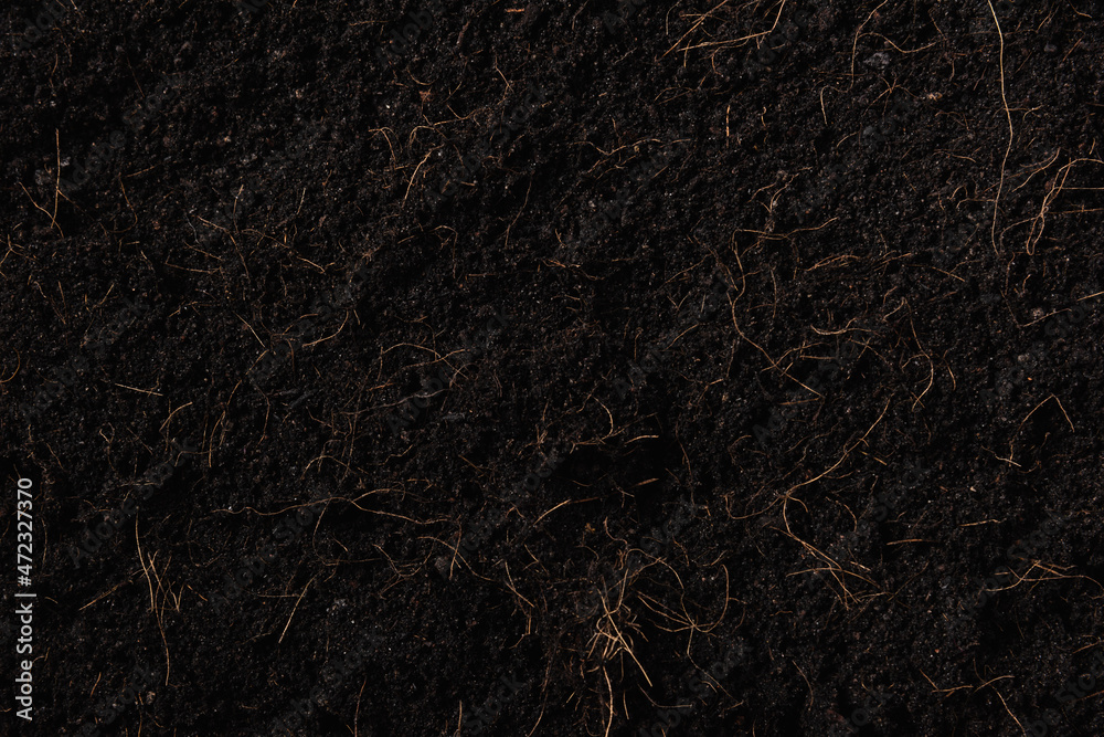 Black land for plant background, Top view of Fresh soil with mulch for gardening texture, World Soil Day concept Black land for plant background, Top view of Fresh soil with mulch for gardening texture, World Soil Day concept