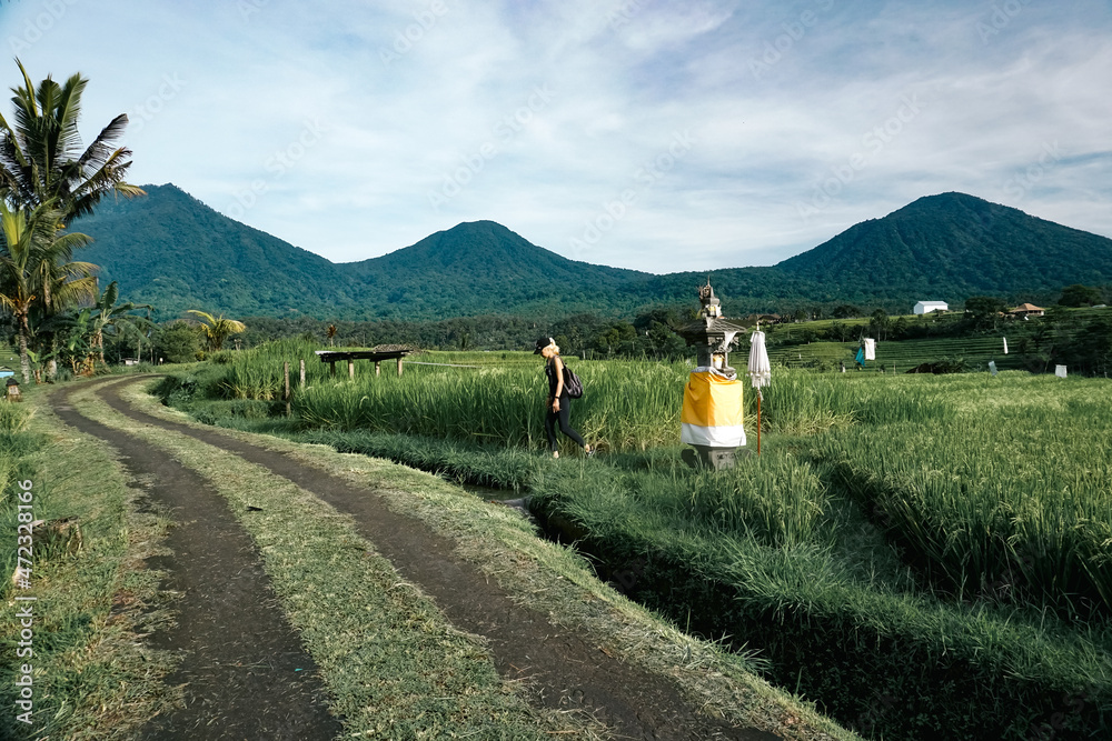 A woman trekking at Jatiluwih Rice Terrace in Gianyar Bali Indonesia. A woman trekking at Jatiluwih Rice Terrace in Gianyar Bali Indonesia.