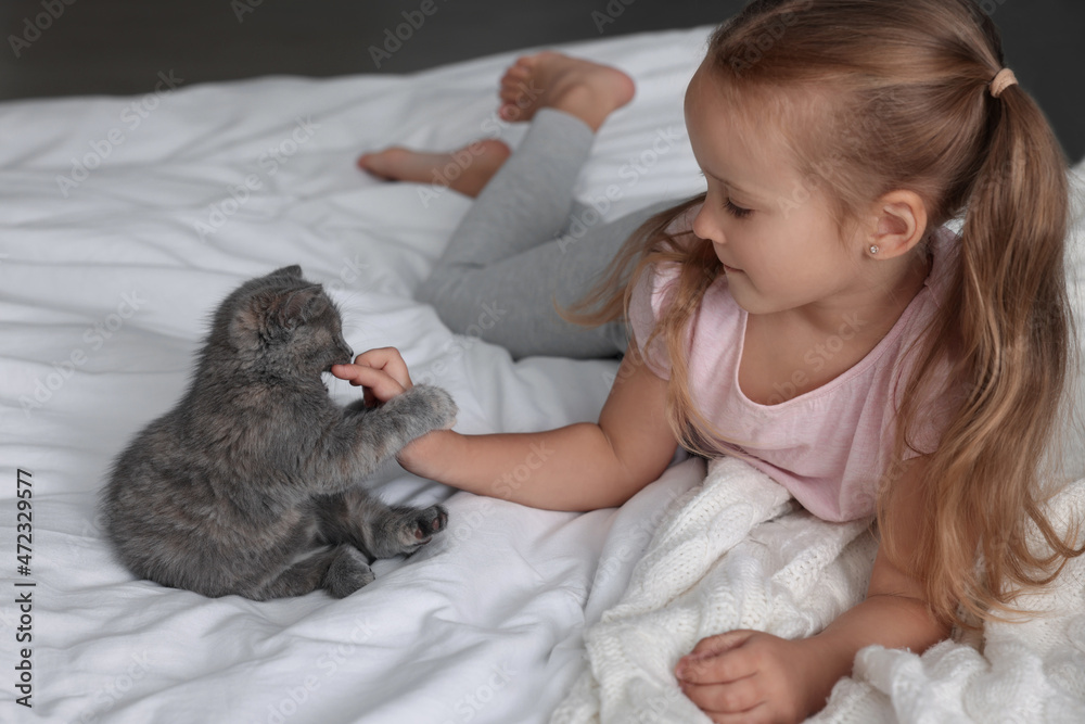 Cute little girl playing with kitten on bed. Childhood pet Cute little girl playing with kitten on bed. Childhood pet