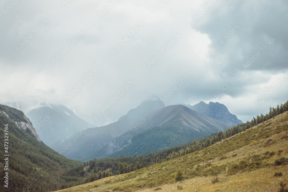 Dramatic vintage mountain landscape with forest under pointed peak among rainy low clouds. Scenic view to sharp mountain pinnacle under cloudy sky in overcast weather in sepia tones. Mountains scenery