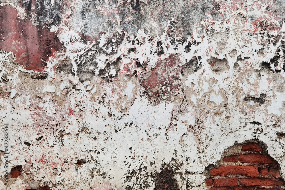 Fototapeta premium close up of concrete cement textured wall for background