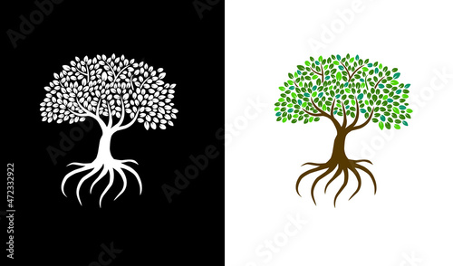 mangrove tree vector illustration