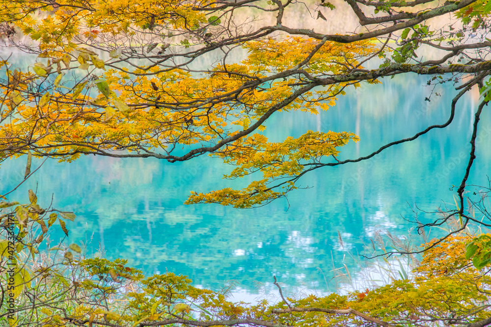 福島 裏磐梯 秋色に彩られた五色沼周辺のハイキングコースの美しい風景 Stock Photo Adobe Stock