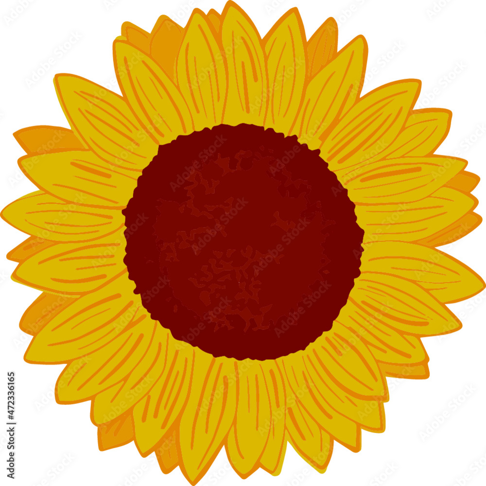 Yellow Sunflower Graphic Vector Image Yellow Sunflower Graphic Vector Image