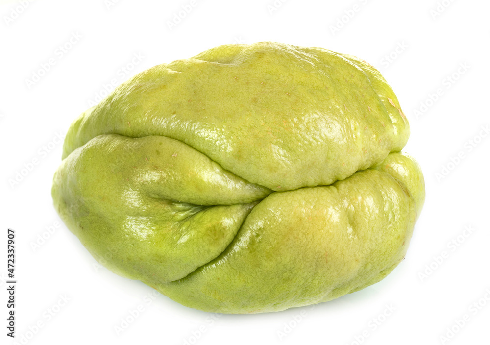 mirliton squash in studio
