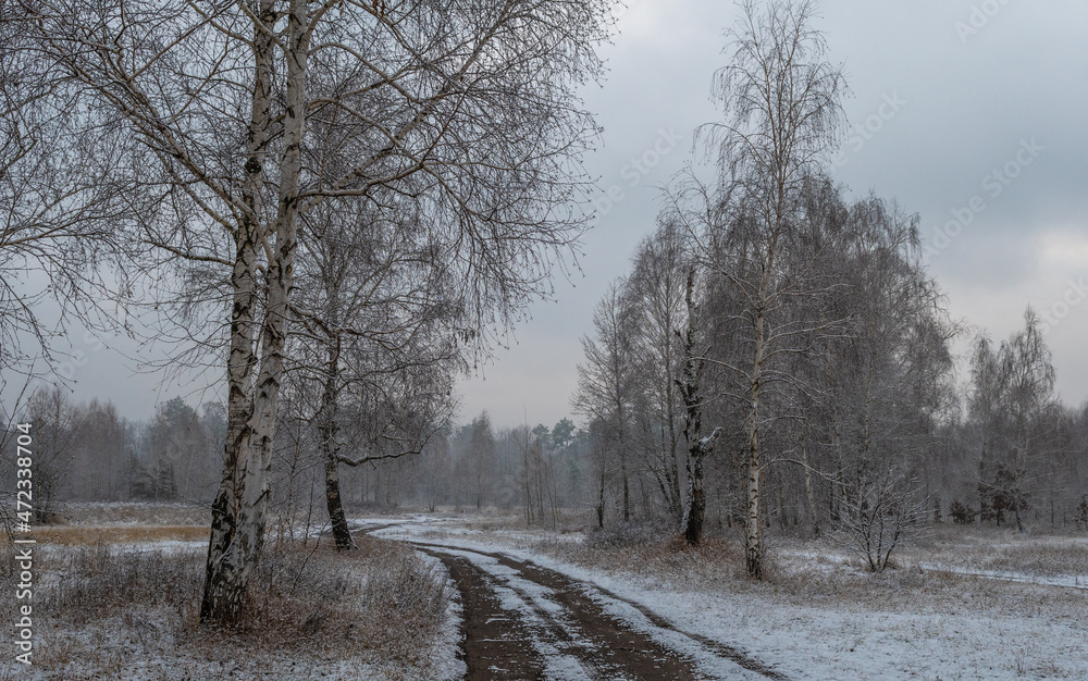 The first snow fell to the ground and trees. Cold winter weather. The first snow fell to the ground and trees. Cold winter weather.