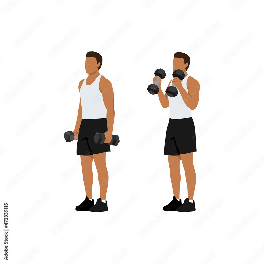 Man doing dumbbell bicep hammer curls. Flat vector illustration isolated on different layer. Workout character