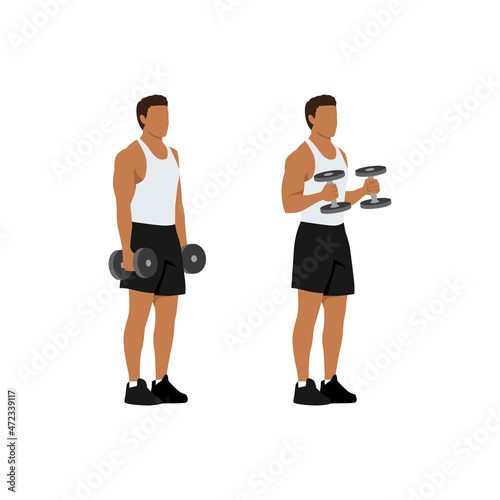 Man doing standing dumbbell bicep hammer curls. Flat vector illustration isolated on different layer. Workout character