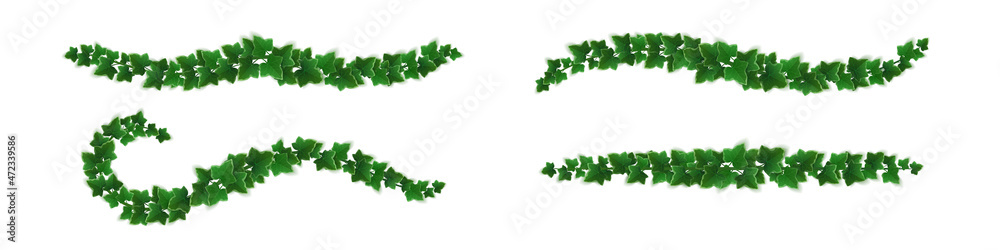 Ivy vines with green leaves. Horizontal borders of creepers branches with foliage. Vector realistic set of greenery twigs, climbing plants isolated on white background Ivy vines with green leaves. Horizontal borders of creepers branches with foliage. Vector realistic set of greenery twigs, climbing plants isolated on white background