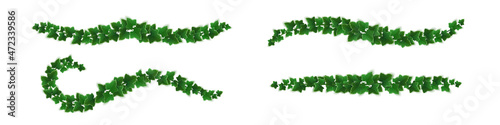Ivy vines with green leaves. Horizontal borders of creepers branches with foliage. Vector realistic set of greenery twigs, climbing plants isolated on white background