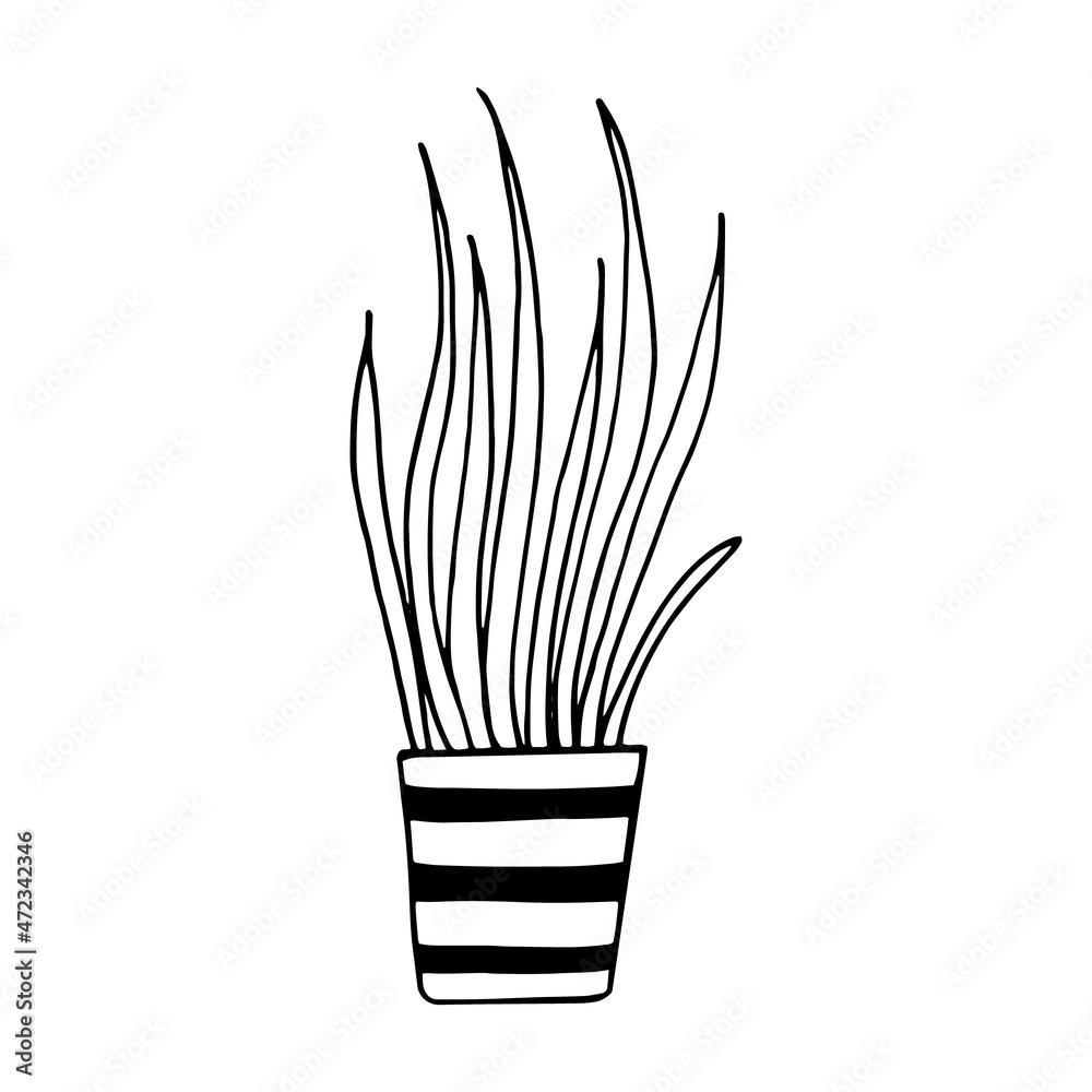 chlorophytum in a pot icon hand drawn. vector, minimalism, scandinavian, monochrome, nordic. sticker, plant, flower. chlorophytum in a pot icon hand drawn. vector, minimalism, scandinavian, monochrome, nordic. sticker, plant, flower.