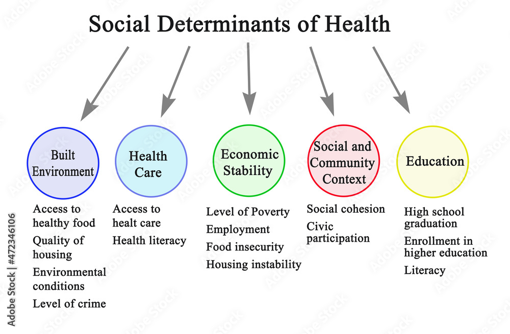 Five Social Determinants of Health. Stock Illustration | Adobe Stock