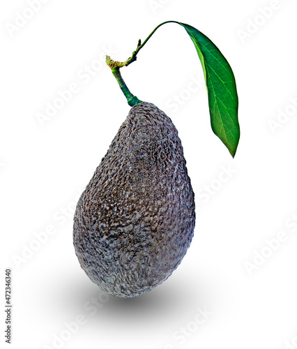 Close up of avocado isolated on white background