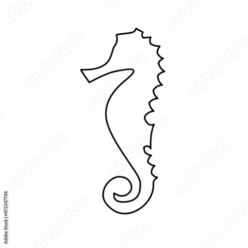 sea horse seahorse 