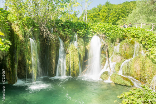waterfall in the lush green forest