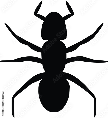 ant icon