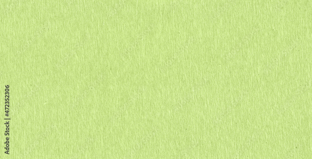 Fototapeta premium green paper texture