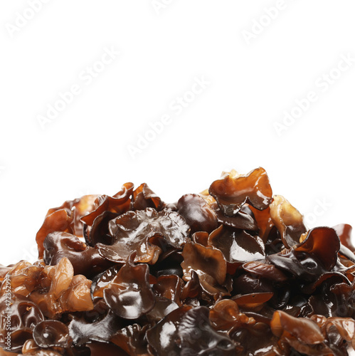 black fungus on white background 