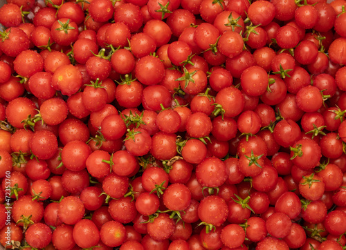fresh cherry tomatoes as background © studybos