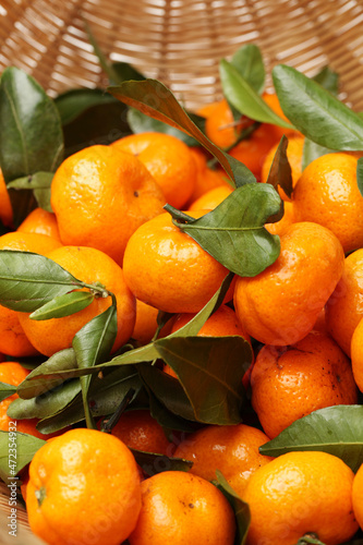 tangerine or mandarin orange on white background 