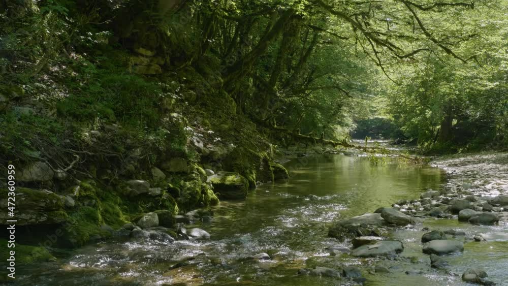 The Caucasus Mountains. Kudepsta River Canyon. Subtropical forest. The Caucasus Mountains. Kudepsta River Canyon. Subtropical forest.