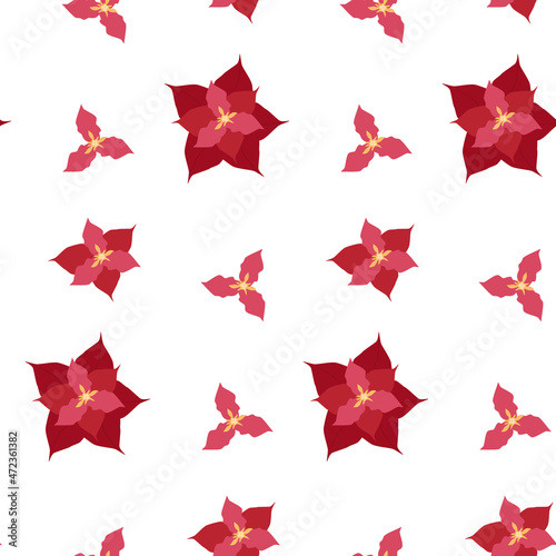 Seamless pattern of red flowers in the shape of a star. Vector illustration for background, decor, fabrics and postcards