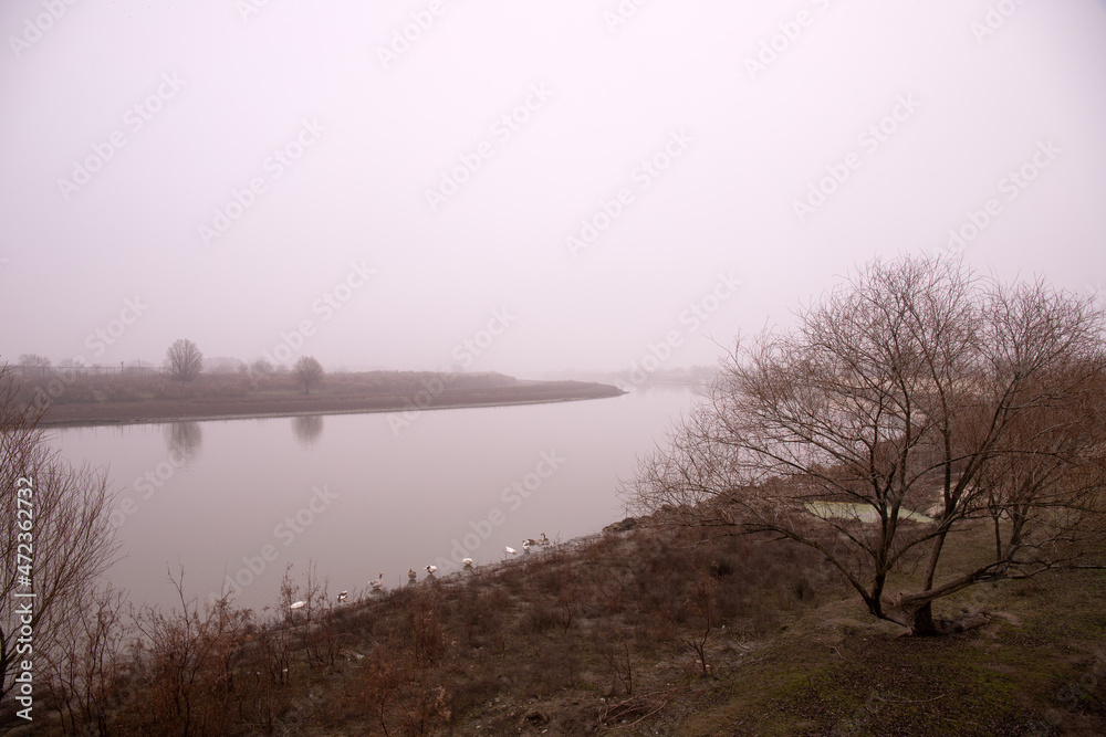 The Kura river in the fog. The city of Neftechala. Azerbaijan.