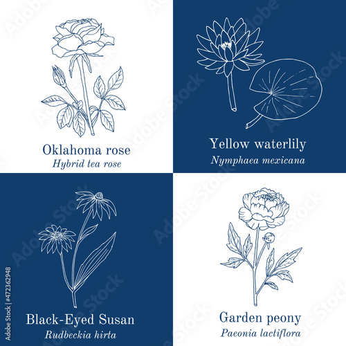 Set of garden flowers