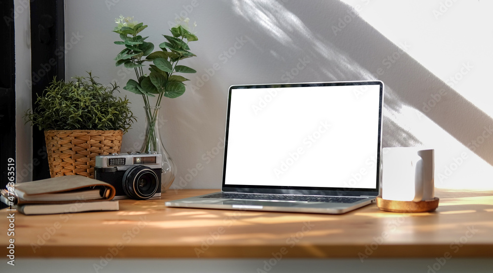 Computer laptop, coffee cup, books and houseplant on wooden table.