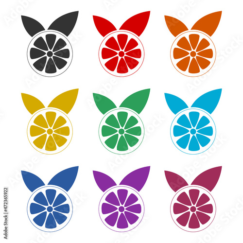 Orange fruit icon isolated on white background, color set