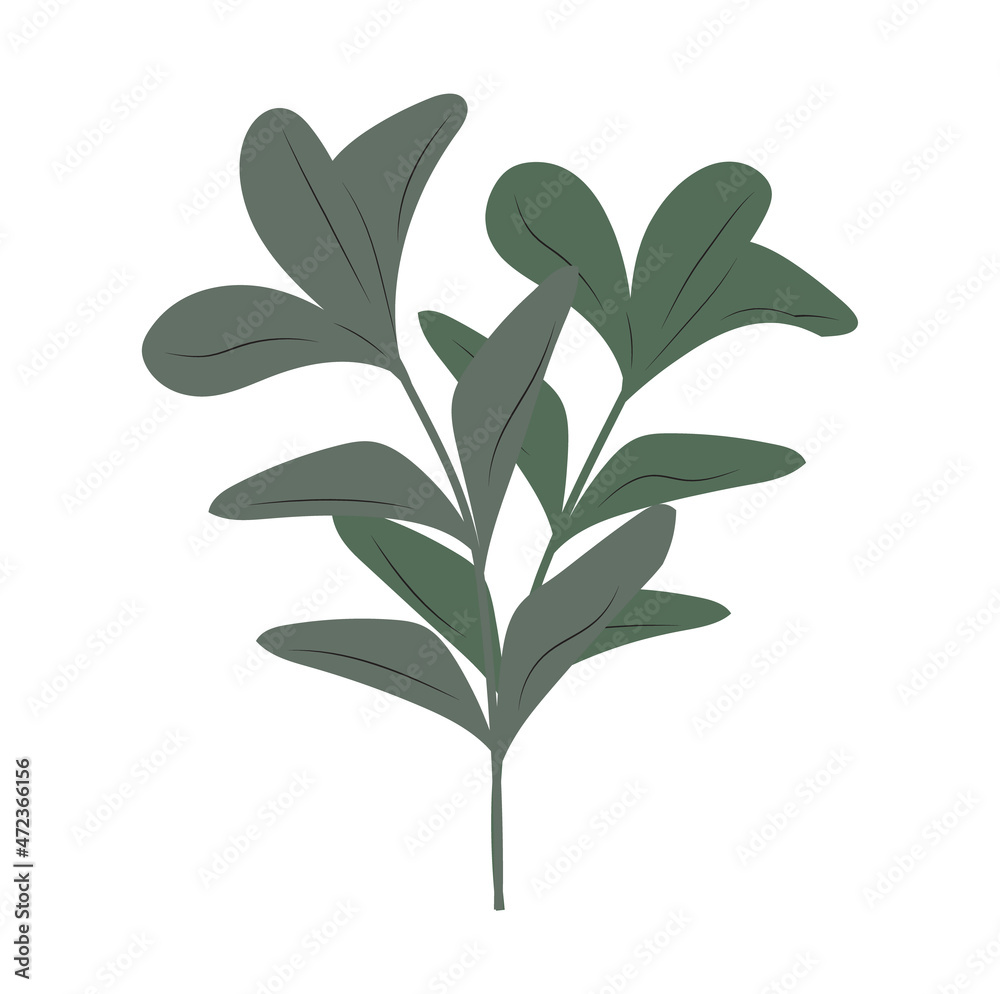 Naklejka premium Ficus branch vector. Home plant isolated on a white background.