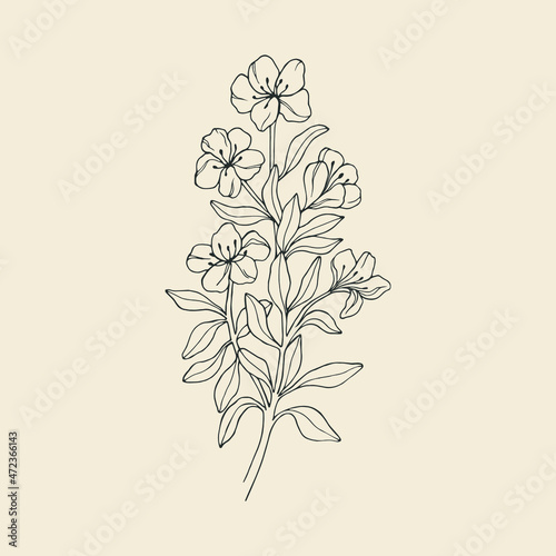 Hand drawn azalea flower illustration photo