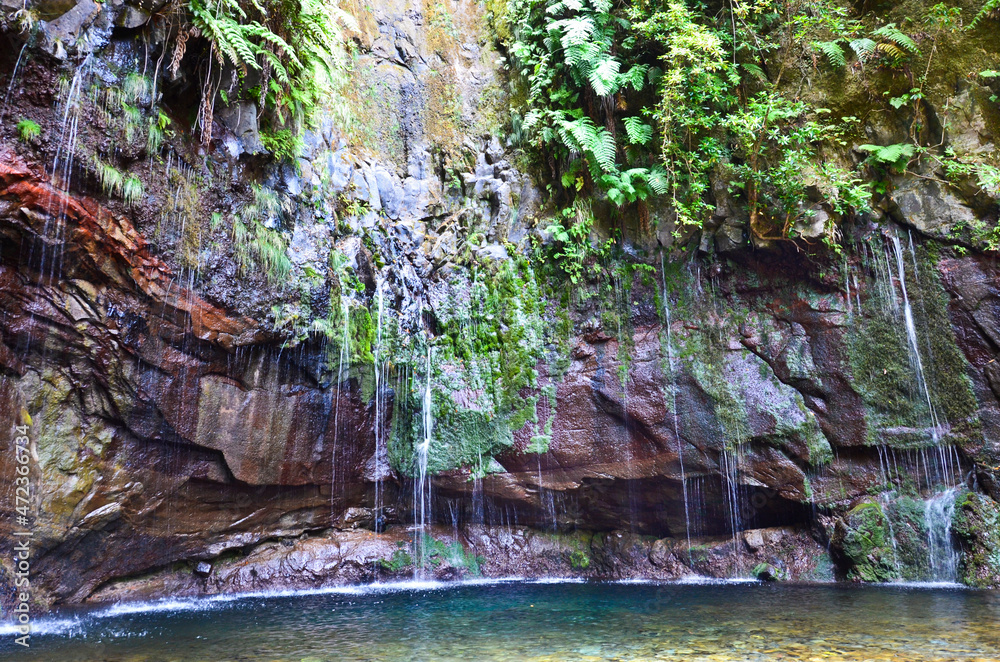 Fototapeta premium Waterfall in the woods
