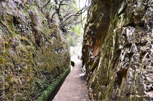 The mystical path between the rocks