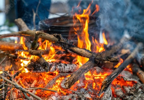 Cooking food on a campfire in the woods in nature