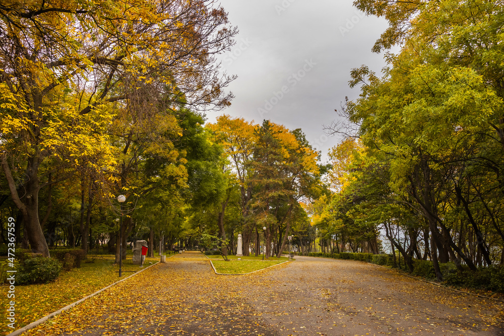 Alley of the Sea Garden (Morska Gradina) park in autumn. Burgas, Bulgaria.