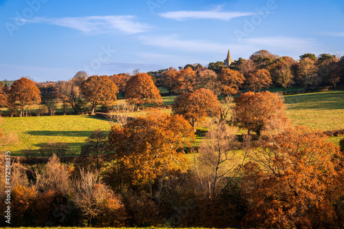 Autumn woodland on the high weald near Dallington church east Sussex, south east England