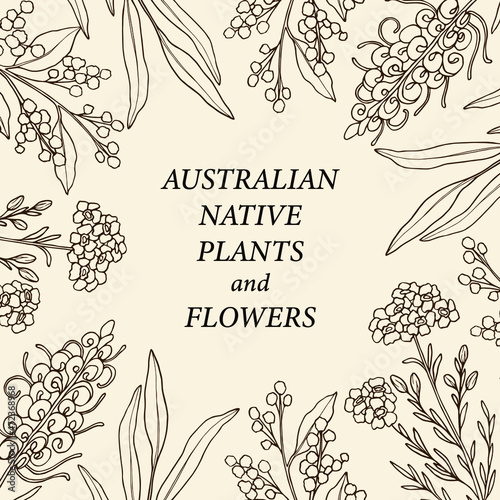 Hand drawn Australian native flowers frame