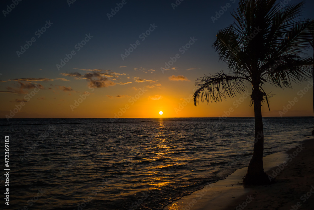 Bench and palm trees on the seashore before dawn. Beautiful sunrise at sea. Dawn on the Atlantic ocean. The sun is reflected in the sea. Palm trees against the background of the rising sun. 
