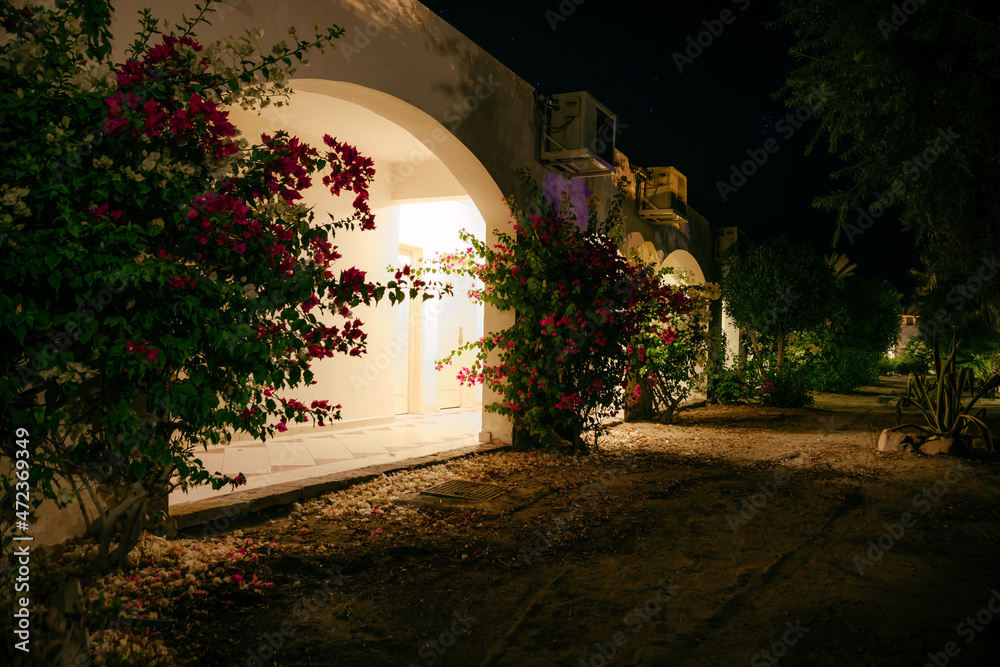 Naklejka premium The arches of the white building is illuminated by lanterns.Night view walkway with tropical palm trees in the light of the lantern. Night tropical park with palms and lanterns