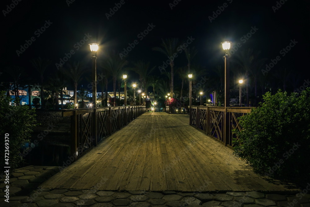 Wooden bridge illuminated by lamps and beautiful bushes and palm