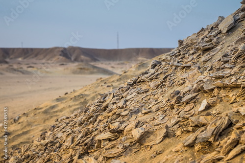 Fossilized seashells in the desert. A hill of fossilized seashel photo