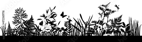 A set of black silhouettes of meadow wild grasses and flowers on a white background. Botanical elements.