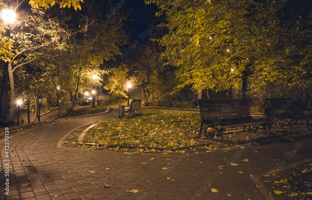 Naklejka premium The teiled road in the night park with lanterns in autumn. Bench