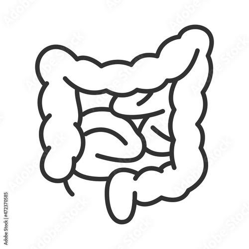Human stomach bowel line icon vector illustration. Monochrome logo digestive tract, intestines