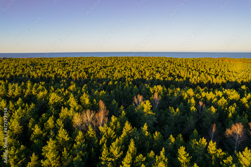 Above aerial shot of green pine forests and yellow foliage groves with beautiful texture of golden treetops. Beautiful fall season scenery in evening. Mountains in autumn colors in golden time Above aerial shot of green pine forests and yellow foliage groves with beautiful texture of golden treetops. Beautiful fall season scenery in evening. Mountains in autumn colors in golden time
