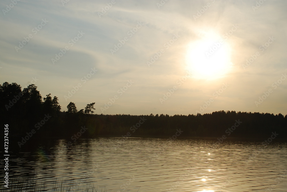 Summer sunset on the shore of a forest lake. The water surface is calm with fine ripples, the sun sets behind the forest on the other side of the lake. The sun's rays are reflected in the water.